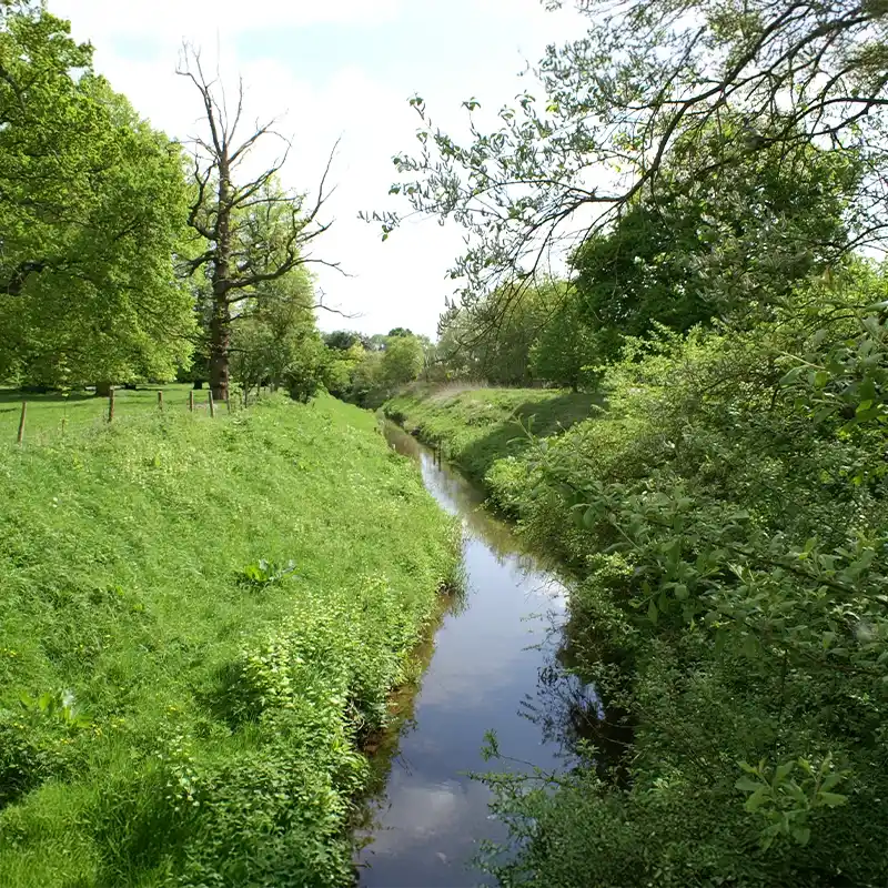 Bugbrooke Environmental Working Group
